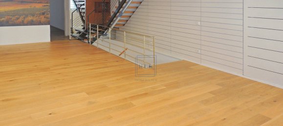 5غرفة بناية في Baden-Wurttemberg, Germany رقم 98024 7