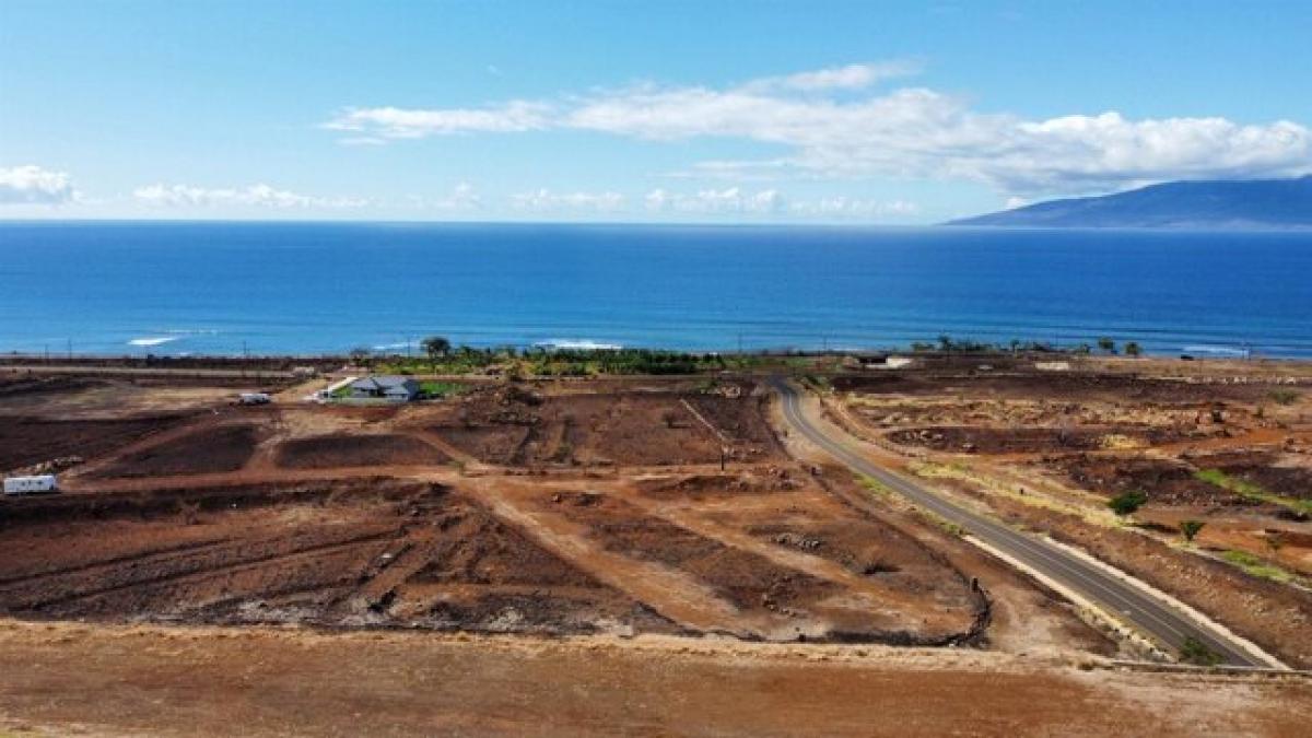 Land in Lahaina, USA No. 477939