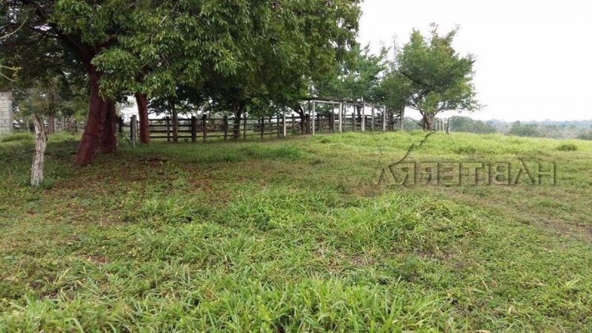  Land in Veracruz, Mexico No. 202904