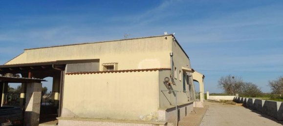 Villa de 5 habitaciónes en Nardò, Italy No. 104850 3