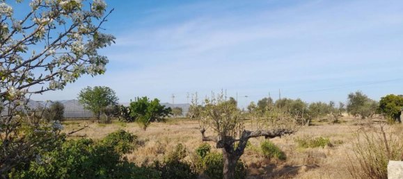Villa de 5 habitaciónes en Nardò, Italy No. 104850 24