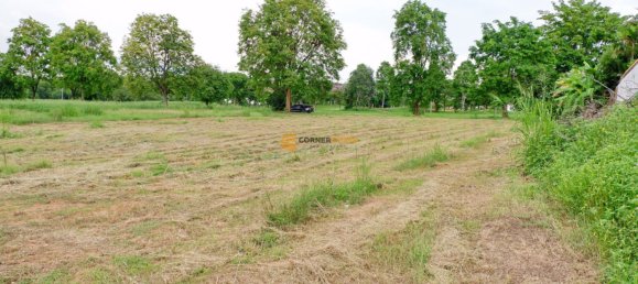  Commercial property in Chonburi, Thailand No. 1859 9