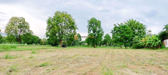  Commercial property in Chonburi, Thailand No. 1859 10