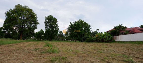  Commercial property in Chonburi, Thailand No. 1859 12