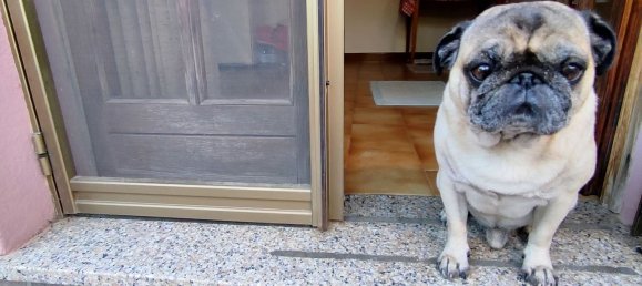 10 rooms Villa in Sinnai, Italy No. 116158 49