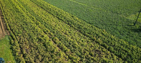 1058m² Land in Altheim, Austria No. 66945 3