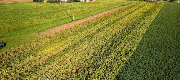 1058m² Land in Altheim, Austria No. 66945 2