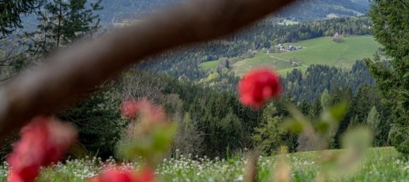 4-Zimmer Haus in Deutschlandsberg, Austria, Nr. 130101 5
