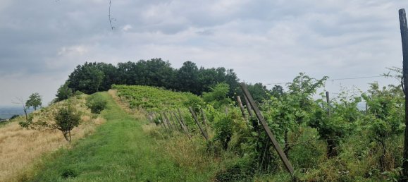 7 bedrooms House in Casteggio, Italy No. 359510 26