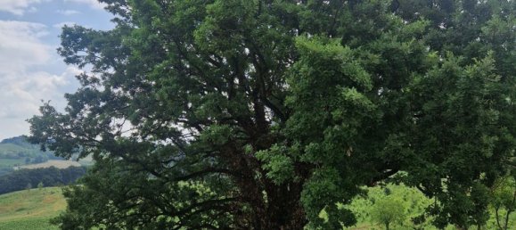 7 bedrooms House in Casteggio, Italy No. 359510 28