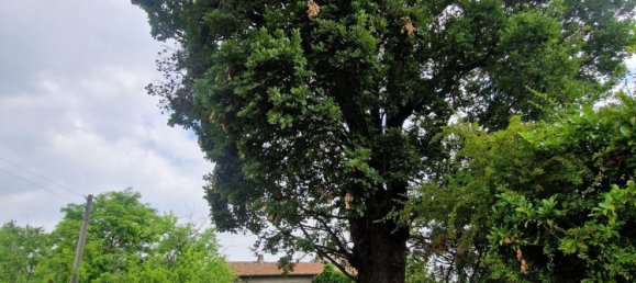 7 bedrooms House in Casteggio, Italy No. 359510 24