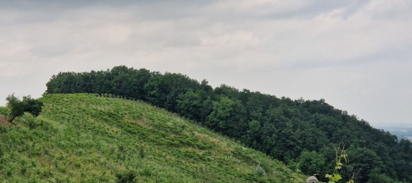 7 bedrooms House in Casteggio, Italy No. 359510 19