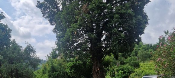 7 bedrooms House in Casteggio, Italy No. 359510 8