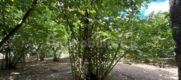 8316m² Land in Avellino, Italy No. 290310 6