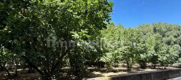 8316m² Land in Avellino, Italy No. 290310 10