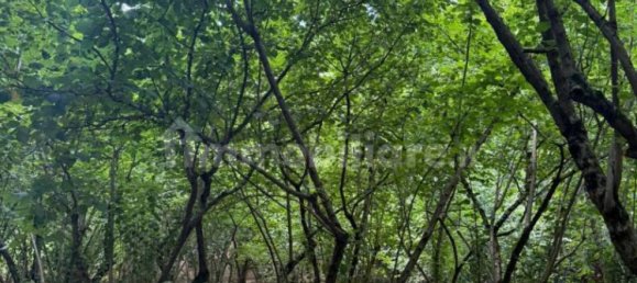 8316m² Land in Avellino, Italy No. 290310 2