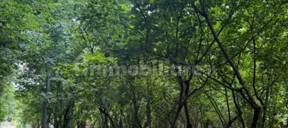 8316m² Land in Avellino, Italy No. 290310 3