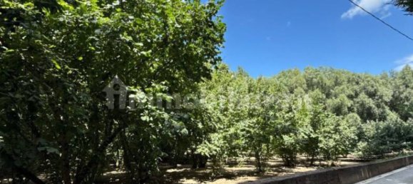 8316m² Land in Avellino, Italy No. 290310 9