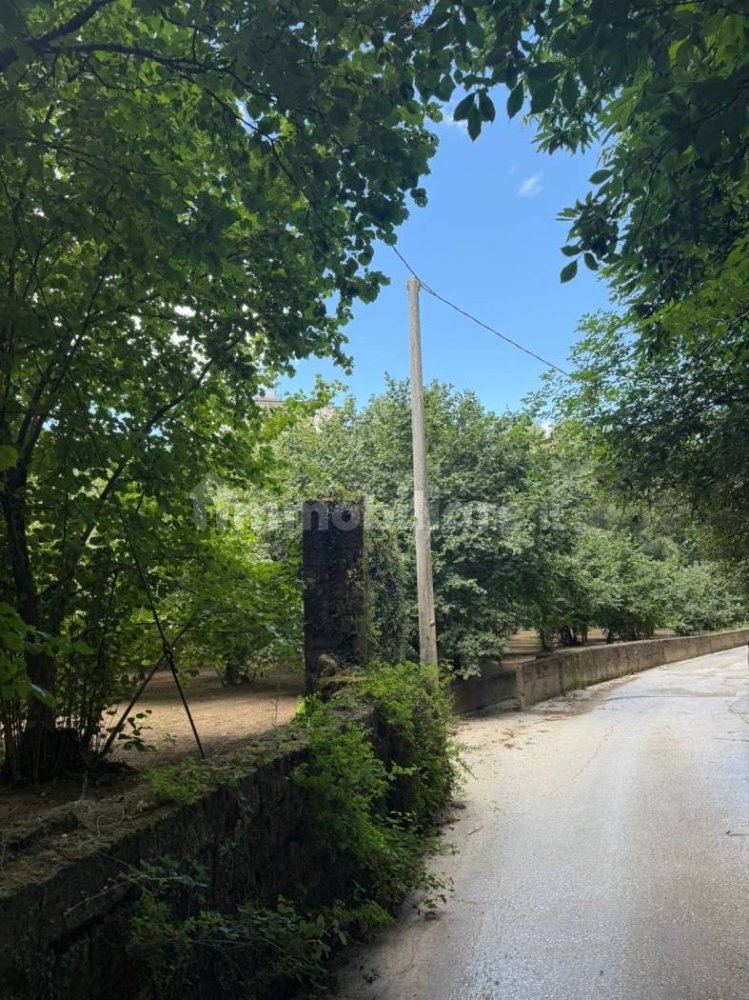8316m² Land in Avellino, Italy No. 290310