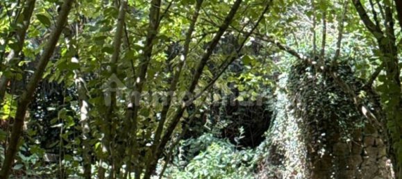 8316m² Land in Avellino, Italy No. 290310 5