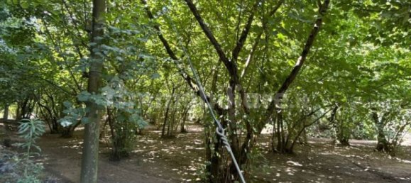 8316m² Land in Avellino, Italy No. 290310 7