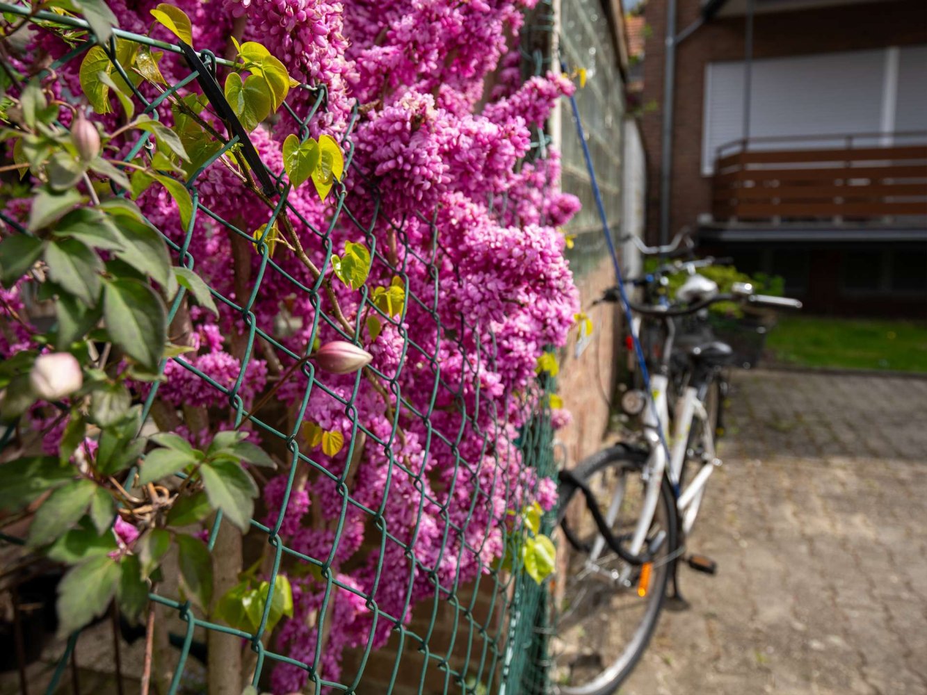 Apartamento de 1 dormitorio en Monchengladbach, Germany No. 223960