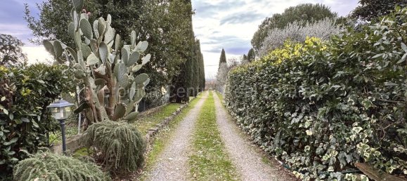3 Schlafzimmer Haus in Montecarlo, Italy, Nr. 120162 2