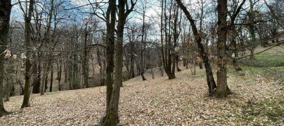 Dúplex de 3 habitaciónes en Monastero di Vasco, Italy No. 119274 15