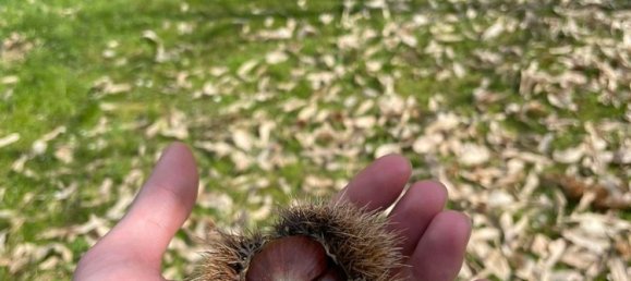 Dúplex de 3 habitaciónes en Monastero di Vasco, Italy No. 119274 16