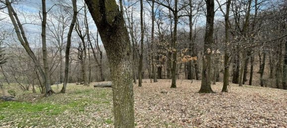 Dúplex de 3 habitaciónes en Monastero di Vasco, Italy No. 119274 14