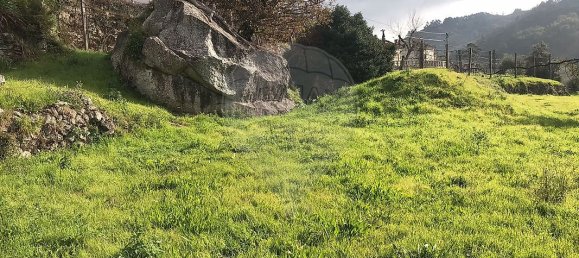 Дом с 2 спальнями в Понти да Барка, Португалия № 16854 5