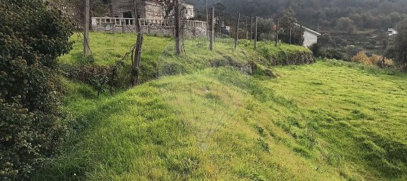 Дом с 2 спальнями в Понти да Барка, Португалия № 16854 8