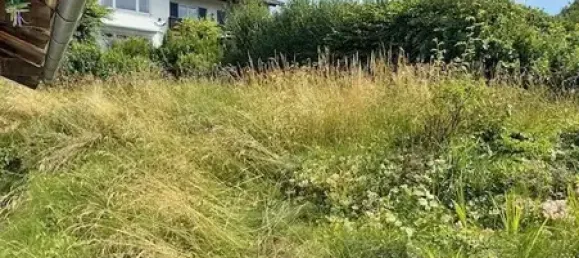  Land in Ostallgau, Germany No. 234304 7