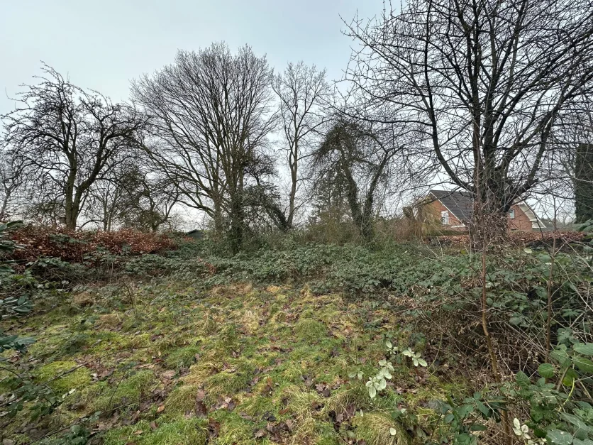 Земельный участок в Шлезвиг-Гольштейн, Германия № 10123