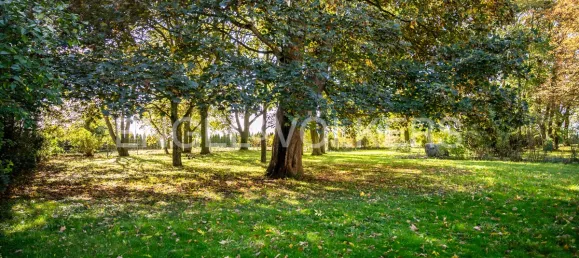 5 bedrooms House in Demmin, Germany No. 137824 10