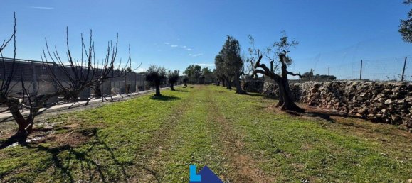 Almacén en Soleto, Italy 1380 m² No. 113403 10