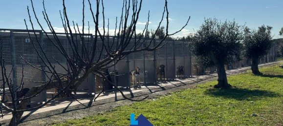 Almacén en Soleto, Italy 1380 m² No. 113403 8