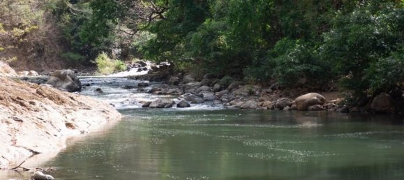 Terrain à San Ramon, Costa Rica No. 1438 5
