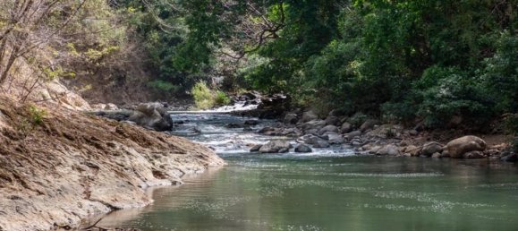 Terrain à San Ramon, Costa Rica No. 1438 4