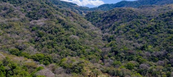Terrain à San Ramon, Costa Rica No. 1438 3