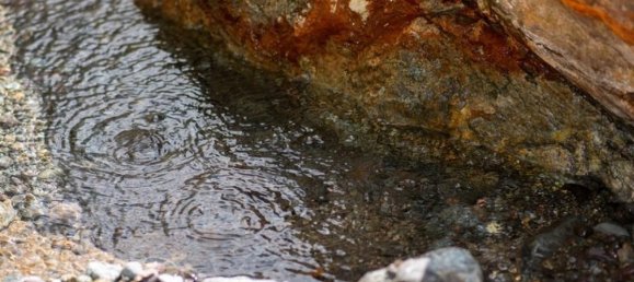 Terrain à San Ramon, Costa Rica No. 1438 6