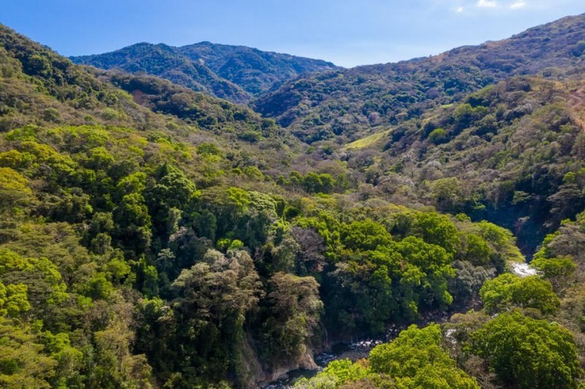 Terrain à San Ramon, Costa Rica No. 1438