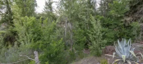 4 bedrooms House in Alfacar, Spain No. 174521 33