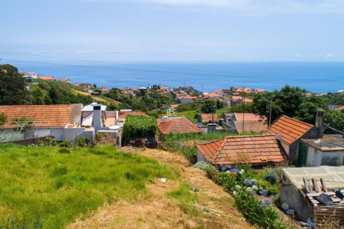  Land in Ponta do Sol, Portugal No. 2159