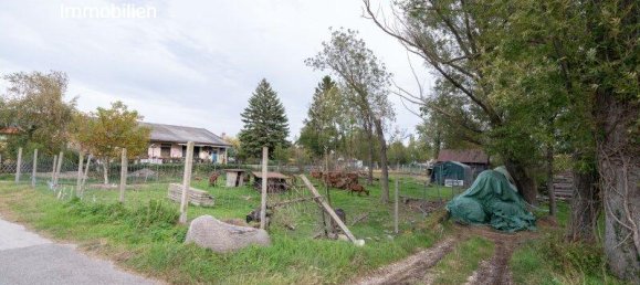 Земельный участок 1200м² в Матцендорф-Хёллес, Австрия № 120185 2