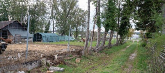 Земельный участок 1200м² в Матцендорф-Хёллес, Австрия № 120185 3