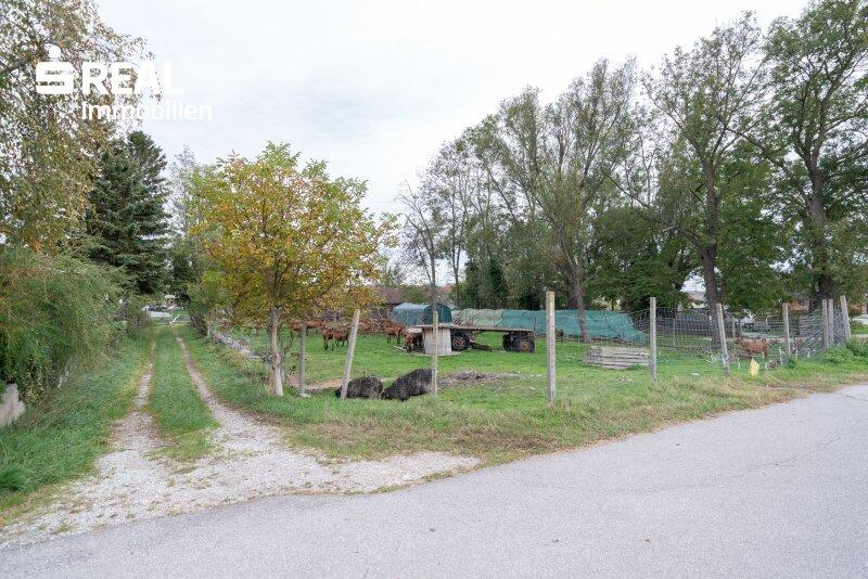 Земельный участок 1200м² в Матцендорф-Хёллес, Австрия № 120185