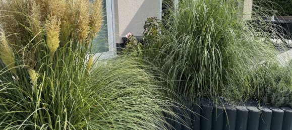 4 bedrooms Villa in Dahme-Spreewald, Germany No. 319969 2