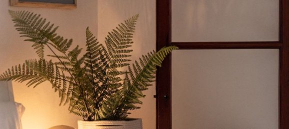 Apartamento T4 em Palma de Majorca, Spain N.º 162535 13