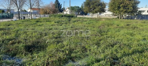  Land in Viseu, Portugal No. 45034 5